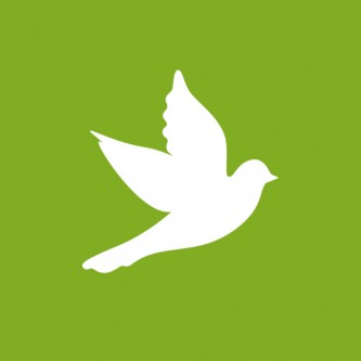 LA GRAINE D'OISEAU D'ÉTÉ LA GRAINE D'OISEAU D'ÉTÉ