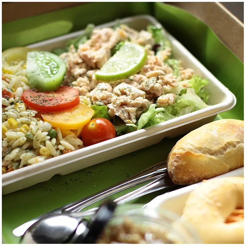 Plateau Violette fish 